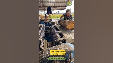 Tree straightness polishing process- Good tools and machinery make work easy