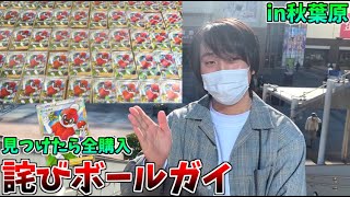 みんなに謝罪があるので、ボールガイを見つけたら全購入縛りの詫びボールガイを行います。【ポケモンカード】