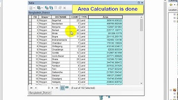 Area Calculation in ArcGIS 2020