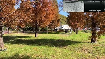 RAPID: Robust and Agile Planner Using Inverse Reinforcement Learning for drones