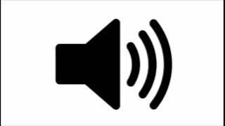 KIM JUNG UN Sound effect/clip