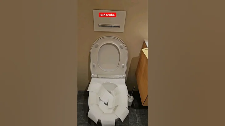 Toilet flush vs Toilet paper#turboflush#geberit#toilets