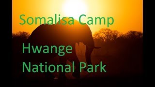 Zimbabwe - Somalisa Camp, Hwange National Park