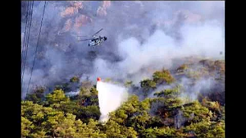 Thousands flee wildfires in Western Canada