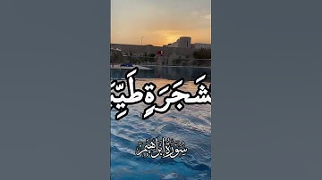 #اكسبلور #تلاوة_خاشعة #راحة_نفسية #حالة_وتساب #duet #قرآن_كريم_أرح_قلبك_وسمعك