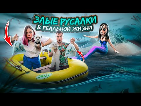 Видео: 24 ЧАСА НА ЗАКОЛДОВАННОМ ОЗЕРЕ ЗЛЫХ РУСАЛОК С КОТАМИ | МЫ ВЫРАСТИЛИ РУСАЛОК В РЕАЛЬНОЙ ЖИЗНИ