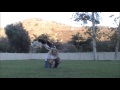 Adding contrast to your freestyle/disc routine - Dog Training Adding contrast to your freestyle/disc routine - Dog Training