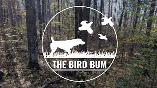 Michigan Grouse/Woodcock Hunting & Truck CampingOctober 2022