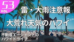 Hawaii Fogarty Realty Youtube