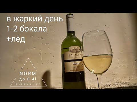 Test Wine 6 Georgia 2023 Badagoni Manavi