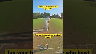 Tag Your Teams Spinner Bowling Yorker | Spin Bowling Yorker #cricket #ukcricket #bowling