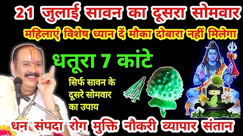21 जुलाई सावन का दूसरा सोमवार धतूरा और काटे का उपाय लक्ष्मी प्राप्ति #सावन #pradeepmishra #सोमवार