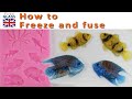 How to freeze and fuse using moulds