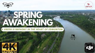 Spring Awakening: A Green Symphony in the Heart of Edmonton