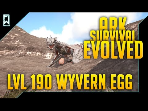the perfect wyvern egg lvl 190 ark survival evolved lvl 190 collecting wyvern eggs post flyers nerf
