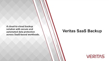 Veritas SaaS Backup - How to access the Audit Log
