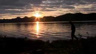 The Snarling Otters of LaTouche Island