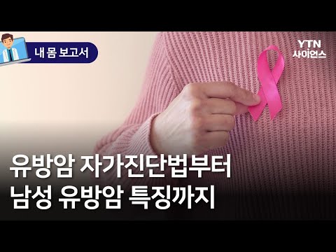 [내 몸 보고서] "유방암 자가진단법부터 남성 유방암 특징까지"…유방 건강을 위한 모든 것 / YTN 사이언스
