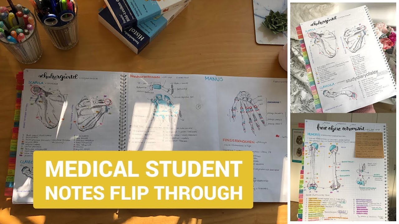 Medical Student Notes Flip Through 1st Semester YouTube medical-student-notes-flip-through-1st-semester-youtube