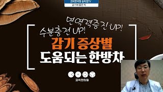 감기에 좋은 차(감기 증상별 도움이 되는 차)