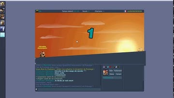 Transformice Technique Use bug