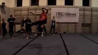 TRICKSilesia Coal Creation Sampler 2014