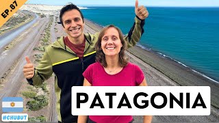 🙌 We enter PATAGONIA! 🇦🇷 FIRST impressions in PUERTO MADRYN 🐋 EP.87 #chubut