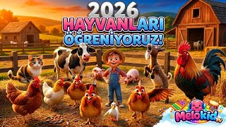 Hayvanları Öğreniyoruz ✨ En Eğlenceli Çocuk Şarkısı 2026