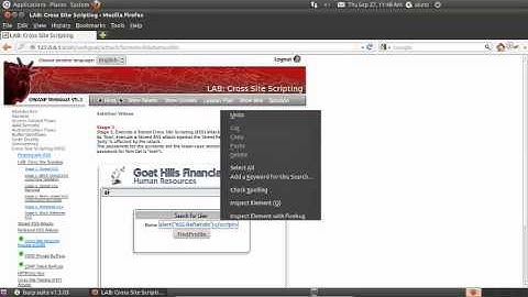 XSS   Reflected XSS Stage 5