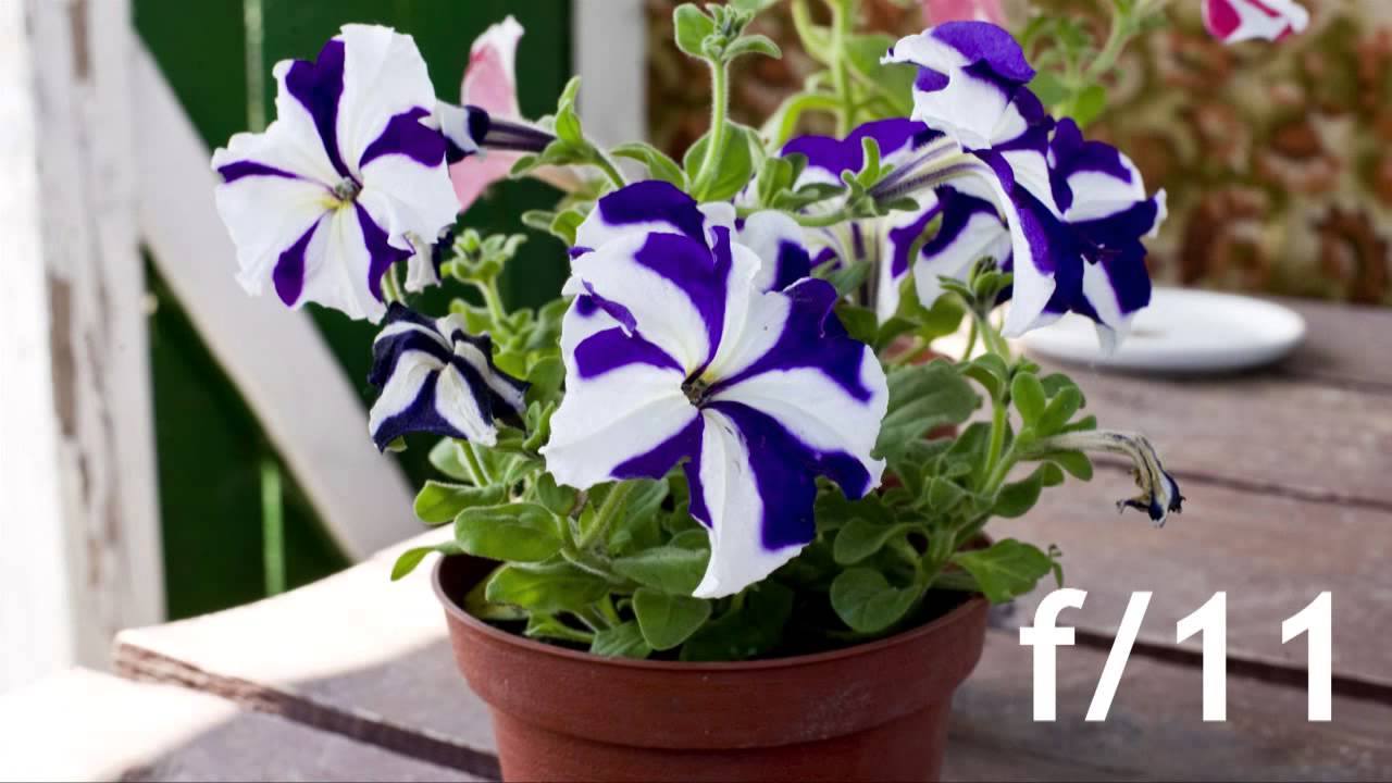 Bazovy_kurs_part1 [HD 1280x720 MPEG4 Широкий экран]