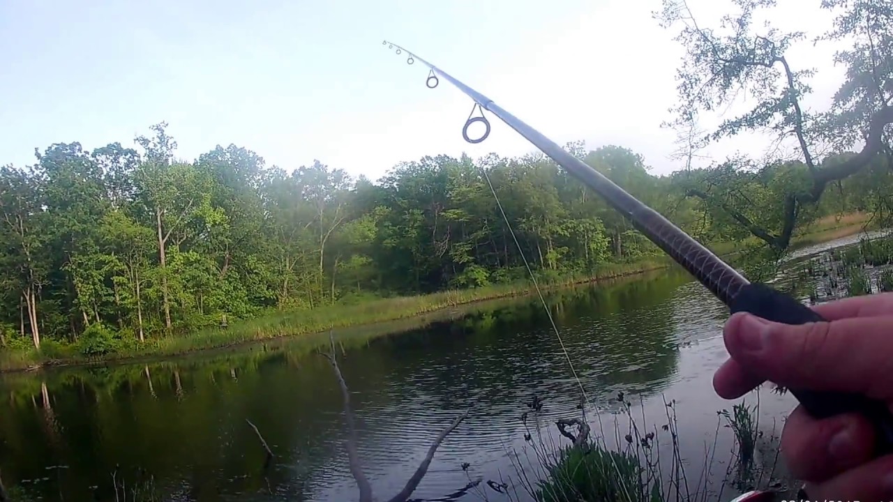 Bass fishing Maryland - YouTube