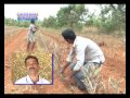 Mulberry Nutrient Management For Silk Production | 03-06 2016 | DD Chandana