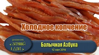 Приготовление балыка. Холодное копчение рыбы. Рецепты.(В этом видео показано вся технологическая цепочка приготовления балыка холодного копчения. Рыбный деликат..., 2016-05-12T12:57:17.000Z)