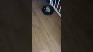IMG 9508