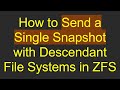 How to Send a Single Snapshot with Descendant File Systems in ZFS