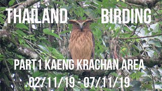 Thailand Birding Part 1: Kaeng Krachan area