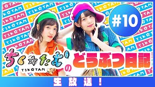 「ちく☆たむのどうぶつ日記 生配信！！」#10