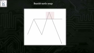 What is turtle soup?   Part 2 