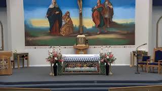 Sunday Mass June 14, 2026