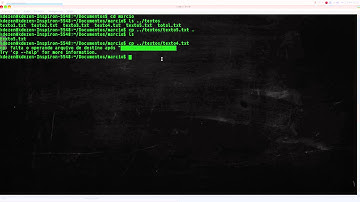 Linux - Tutorial - comando cp parte 2