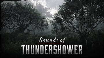 Sounds of Thundershower | Hunt: Showdown 1896