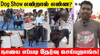 Dog Show ல முக்கியமா நடக்கிறது இது தான் | Dog show | Madurai Canine Club 2023 | Dog Breeding