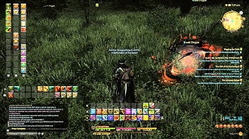 GamerGraham Plays: Final Fantasy XIV: ARR - A New Form Of Botting / Cheating