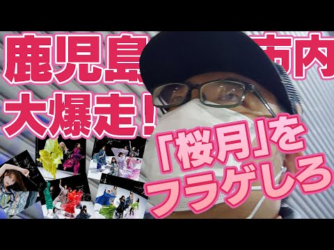 櫻坂46の5thシングル「桜月」複数店舗でフラゲしてみた！【Buddiesおじさん大爆走！】最後に告知あり！」