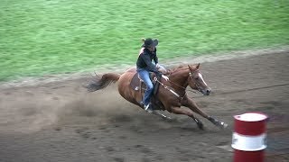 SumbunnysPerky at the 2015 Pendleton Roundup