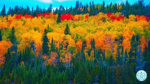 Most Beautiful Relaxing Guitar Music, Peaceful Soothing Music "September Autumn Leaves"
