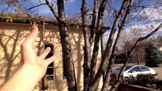 How to Clean Gutters Full of Leaves in the Fall