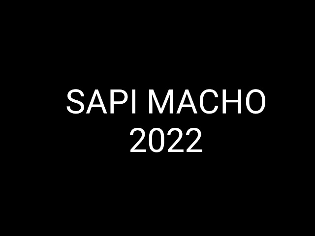 KOMANDAN LEKE Los Bendrong - SAPI MACHO 2022 class=