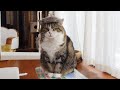 絵画アートを制作するねこ。-Maru makes the art of painting.-