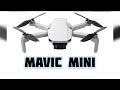 MAVIC MINI,  FIRST TEST